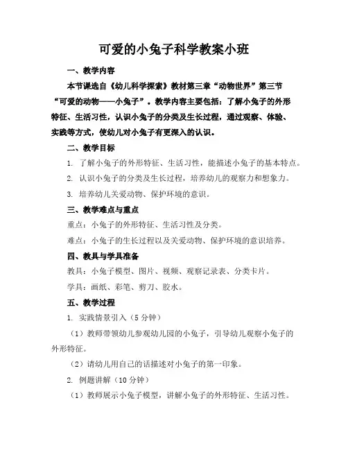 可爱的小兔子科学教案小班