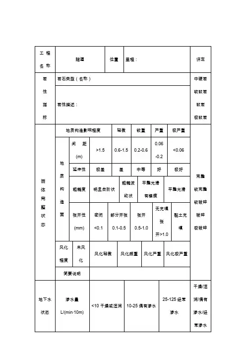 掌子面围岩观察记录
