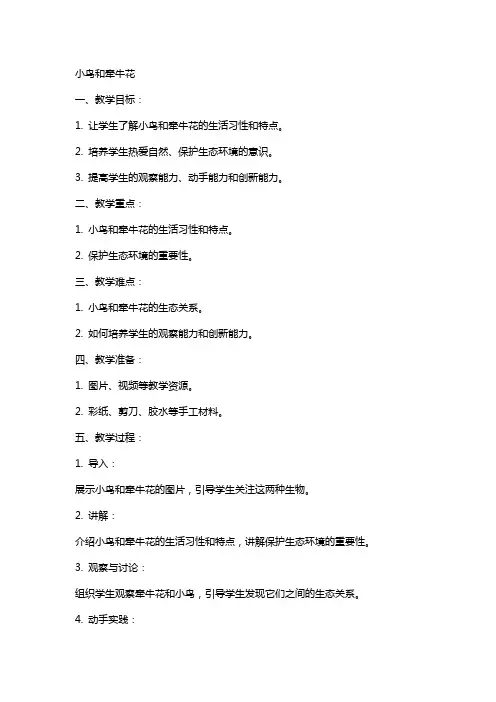 活动教案小鸟和牵牛花