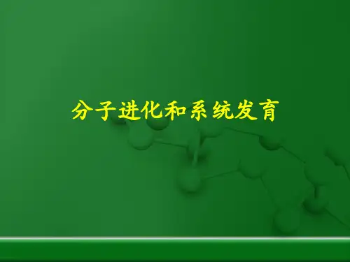分子进化和系统发育