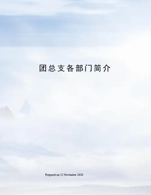 团总支各部门简介