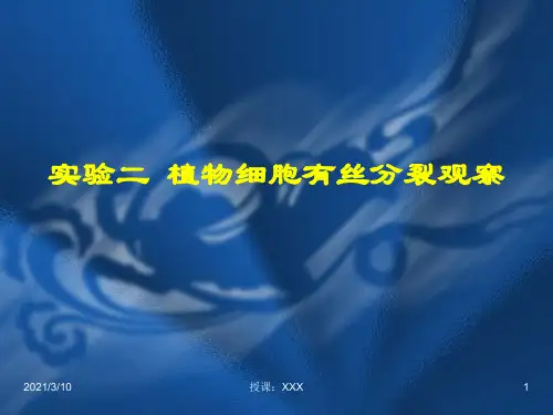 实验二植物细胞有丝分裂过程中染色体行为的观察