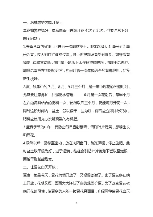 昙花养殖