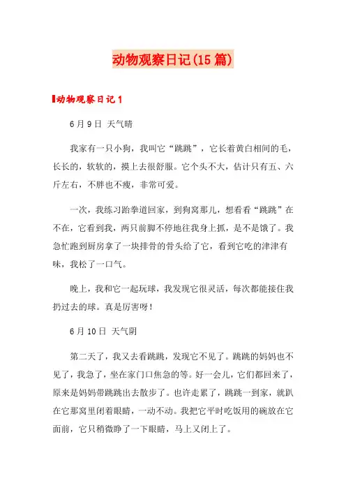 动物观察日记(15篇)