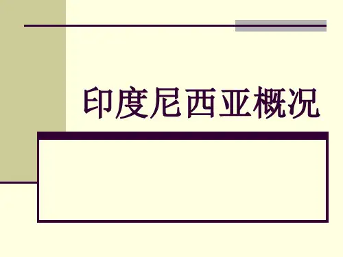 印度尼西亚概况