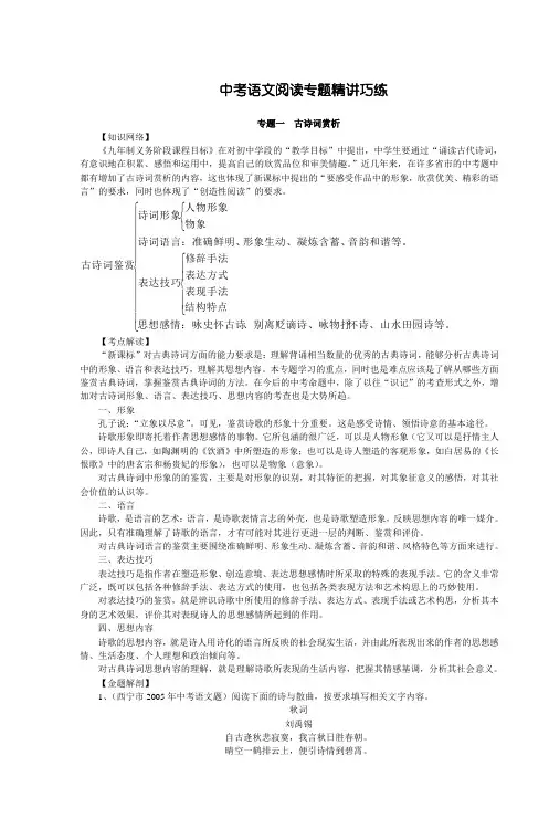 中考语文阅读专题精讲巧练