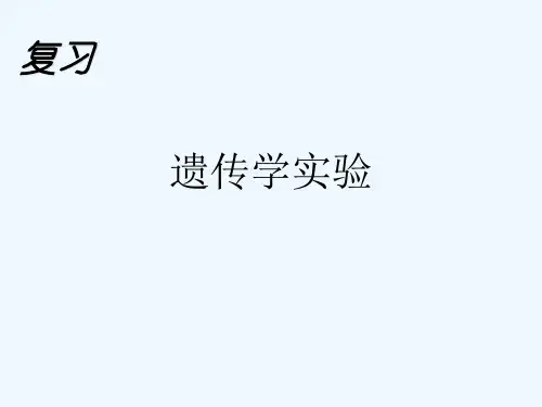 生物二轮复习—遗传学实验