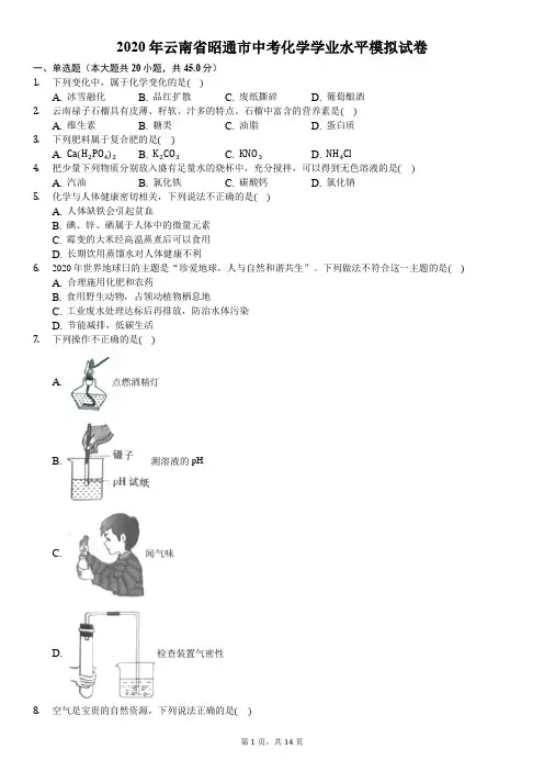 2020年云南省昭通市中考化学学业水平模拟试卷