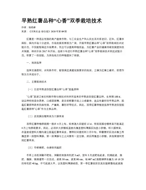 早熟红薯品种“心香”双季栽培技术