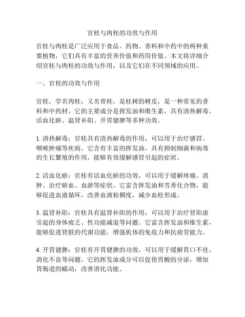 官桂与肉桂的功效与作用
