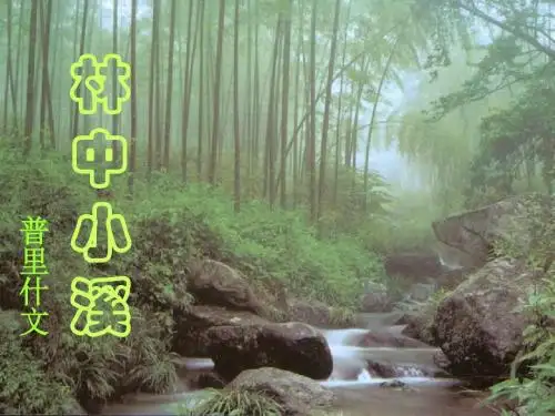 安徽省蚌埠市九年级语文上册第一单元第2课林中小溪课件苏教版