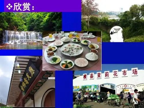 语文人教版八年级下册到民间采风去：中国茉莉之乡——横县