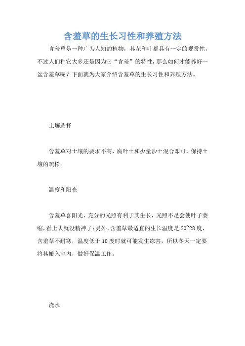 含羞草的生长习性和养殖方法