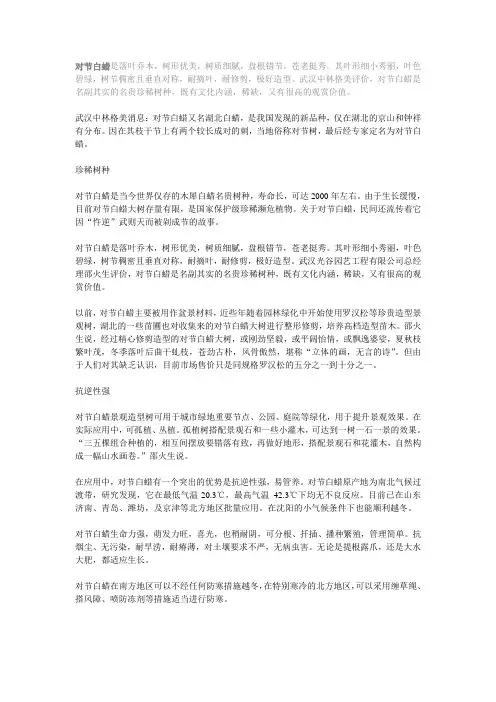 对节白蜡