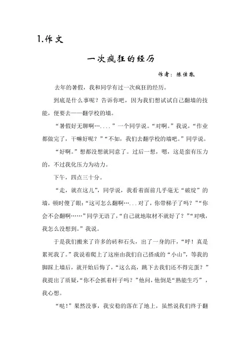 一次疯狂的经历