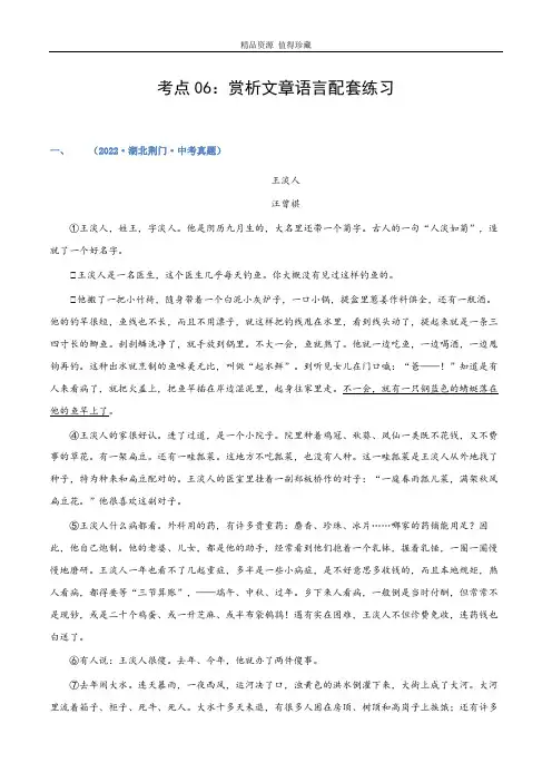 第06讲：赏析文章语言(练习)(学生版)-2023年中考语文记叙文阅读黄金技巧十讲