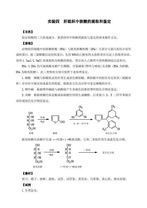 实验四  肝组织中核酸的提取和鉴定
