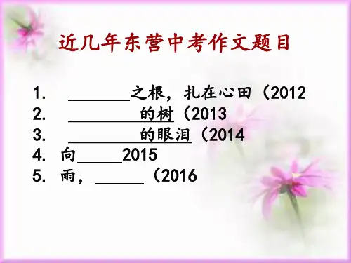细节描写公开课 ppt课件