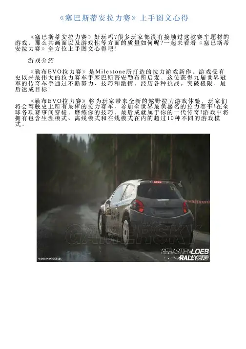 《塞巴斯蒂安拉力赛》上手图文心得
