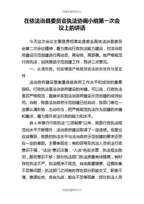 在依法治县委员会执法协调小组第一次会议上的讲话