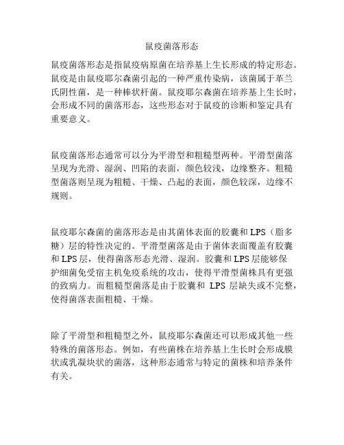 鼠疫菌落形态