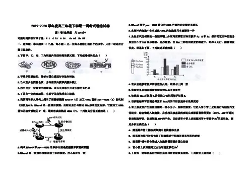 2020衡水中学高三一调理综试题(含答案)