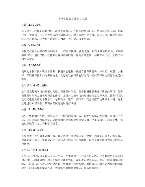 小学学霸的日常学习计划