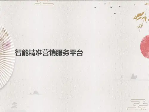 精准营销服务平台V3