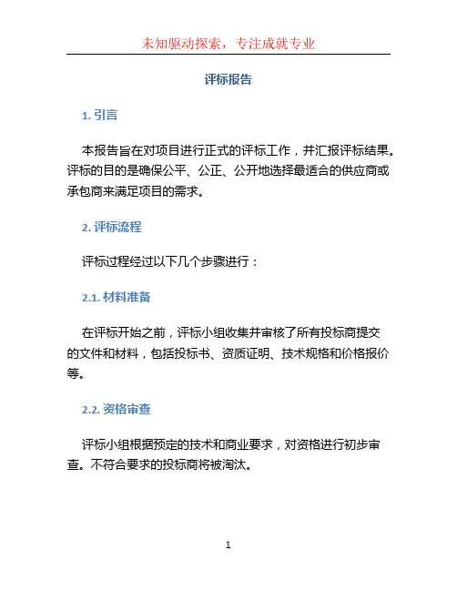评标报告文档