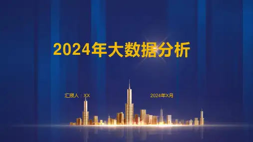 2024年大数据分析