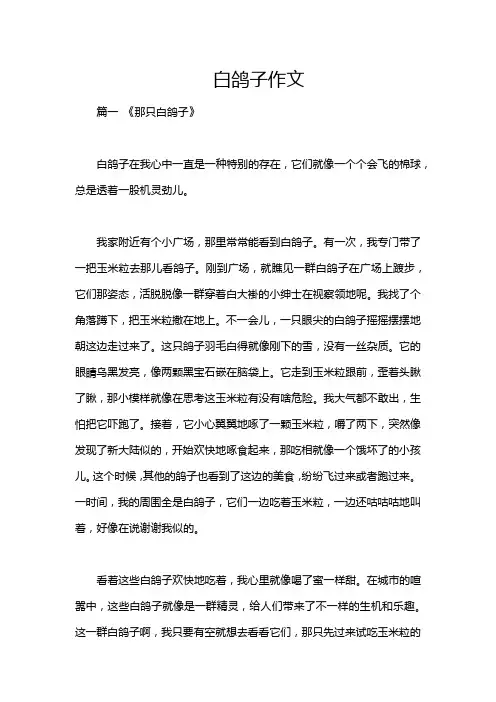 白鸽子作文