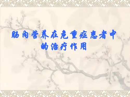 肠内营养在危重症患者中的治疗作用 PPT精品课件