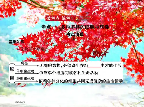 高考生物一轮复习专题2细胞的结构与功能课件高三全册生物课件_3
