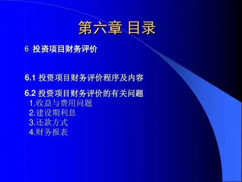 投资项目财务评价概述(PPT 46张)