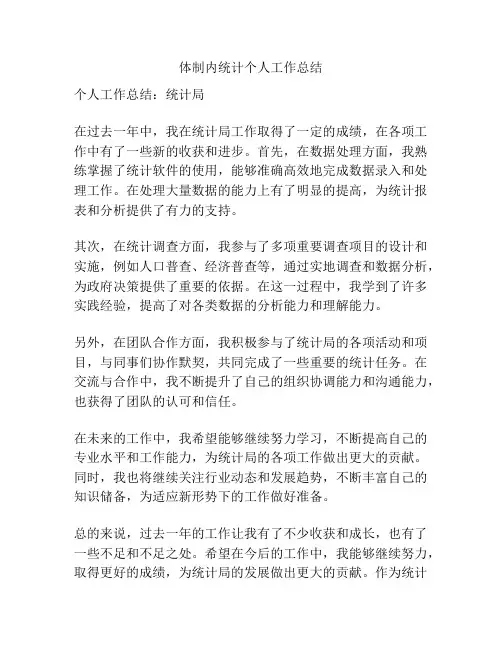体制内统计个人工作总结