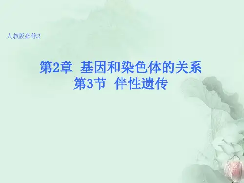 高中生物 2.3 伴性遗传课件1 新人教版必修2
