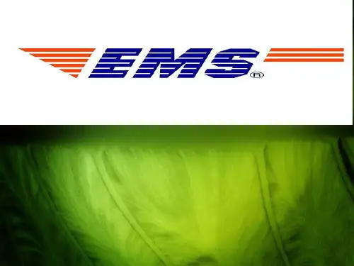 EMS的简介