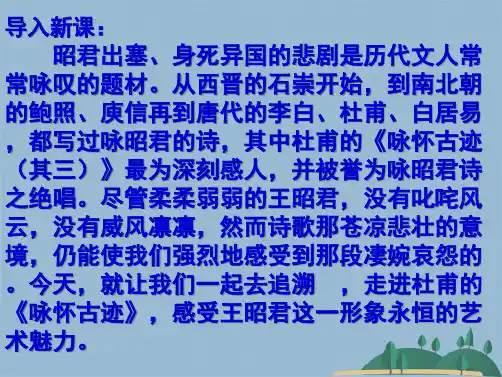 杜甫咏怀古迹其三课件(共45张PPT)