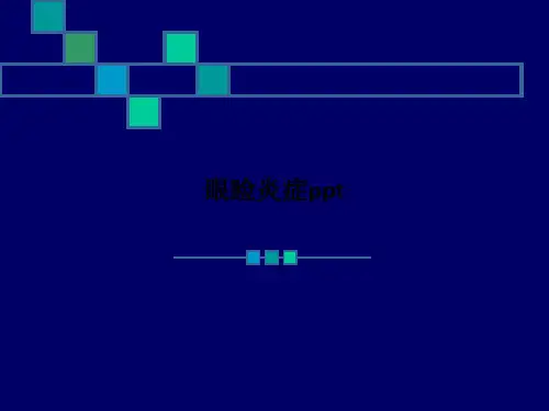 眼睑炎症pptPPT课件