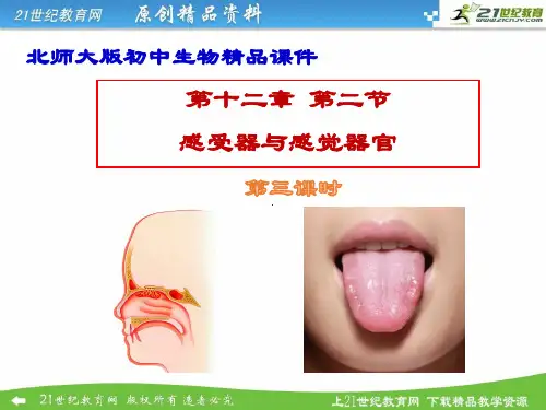 12.2感受器和感觉器官课件