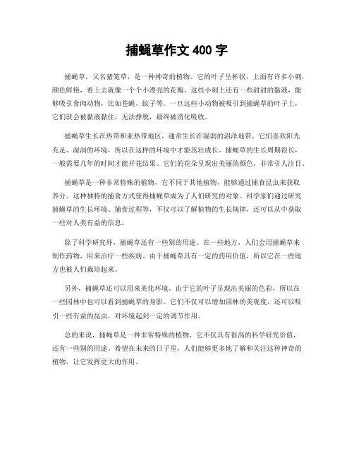 捕蝇草作文400字