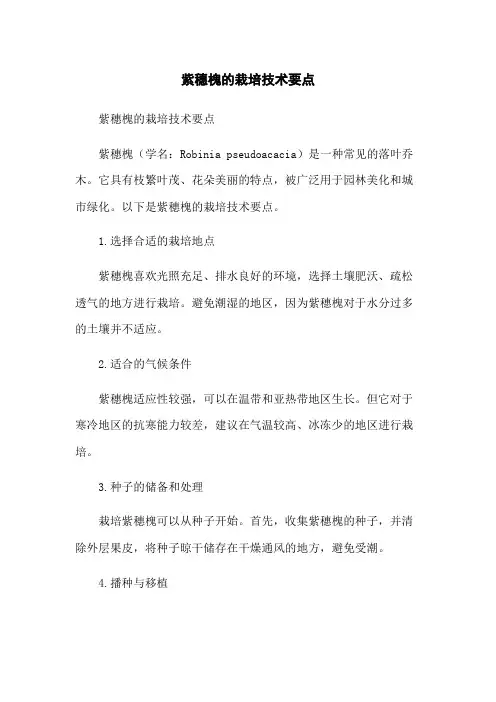 紫穗槐的栽培技术要点