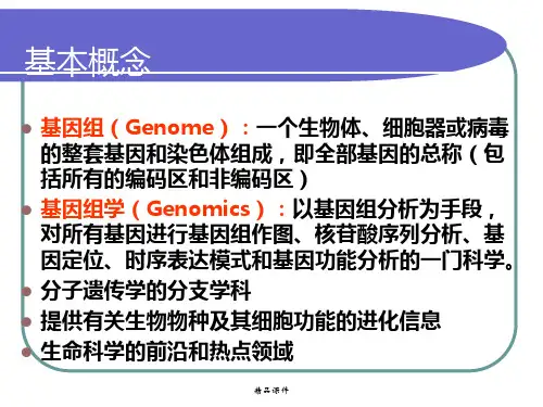基因组学  2.遗传作图 3 物理图 (2)