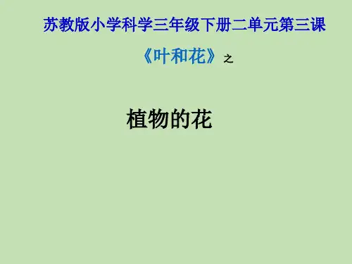 三年级科学2.3植物的花课件