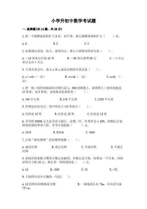 小学升初中数学考试题及参考答案(综合题)