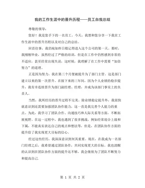 我的工作生涯中的晋升历程——员工自我总结