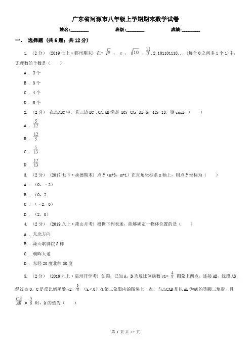 广东省河源市八年级上学期期末数学试卷