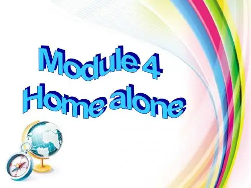 新外研版九年级英语上册Module4 Unit1课件