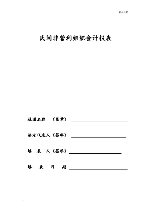 民间非营利组织会计报表模板
