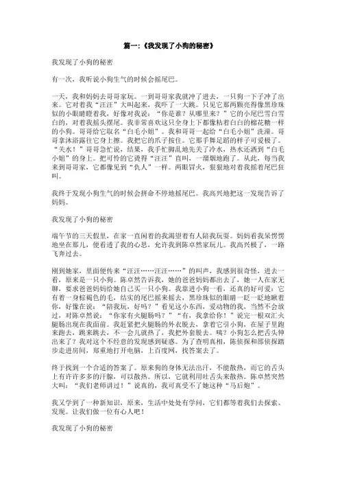 我发现小狗的秘密作文